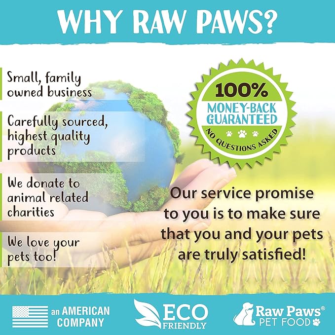 Raw Paws Grooming Brush, 1 ct - Hand-Held Rubber Tipped Pin Brush for Dogs &amp; Cats - Deshedding Dogs with Short Hair &amp; Long Hair - Dog Grooming
