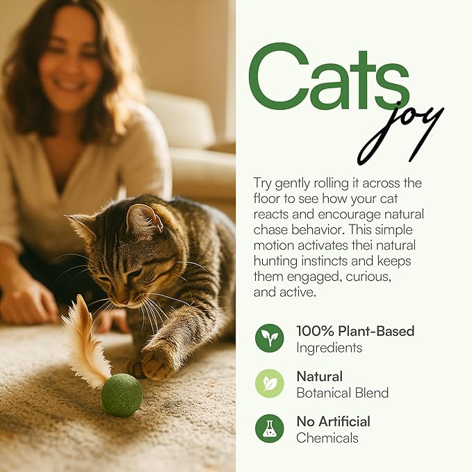 3 Pcs Catnip Balls with Feathers – Natural Catnip Toy for Play, Stress Relief &amp; Healthy Enrichment Interactive Cat Toys Perfect for Indoor Cats &amp; Kittens, Encourages Active Play &amp; Wellness