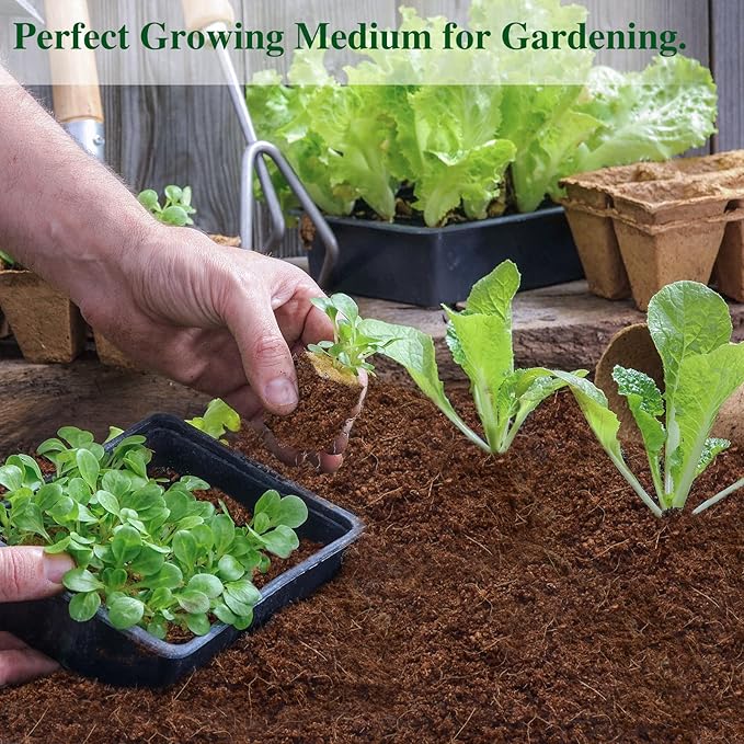 ZeeDix 10 Pack Premium Coco Coir Brick, Organic Compressed Coconut Coir Bricks Seed Starter Potting Soil for Plants, Coconut Fiber Substrate with Low EC &amp; pH Balance for Gardening Flower Herbs