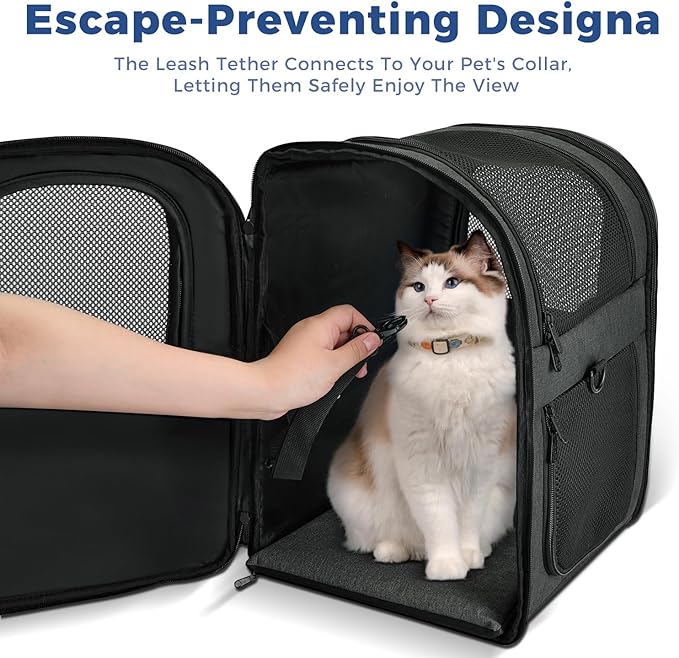 Apollo Walker Dog &amp; Cat Carrier Backpack for 4-15lb Pets - Ventilated Safe Design with Padded Back Support, Breathable Mesh Pet Backpack for Hiking, Travel, Outdoor (Black)