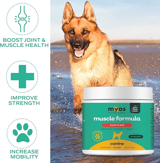 MYOS Muscle &amp; Joint Powered by Fortetropin with Green Lipped Mussel (198 gr)