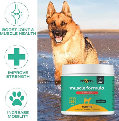 MYOS Muscle &amp; Joint Powered by Fortetropin with Green Lipped Mussel (198 gr)