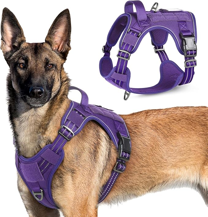rabbitgoo Tactical Dog Harness for Large Dogs, No Pull Military Service Vest with Handle &amp; Molle, Easy Control for Training Walking, Adjustable Reflective Straps, Purple, XL