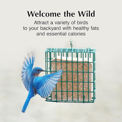 C&amp;S High Energy Delight No Melt Suet Dough, Suet Cakes for Wild Birds, 11 Ounces, Pack of 8