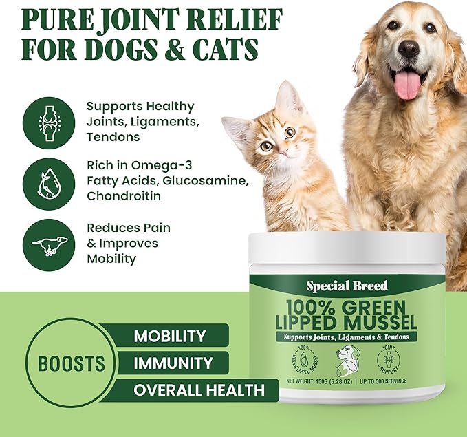 Green Lipped Mussel Powder for Dogs &amp; Cats - 100% New Zealand Green Lipped Mussels - Natural Hip &amp; Joint Supplement for Joints, Tendons, Ligaments, Muscles - 150 Grams - Up to 500 Servings