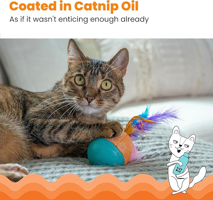 Catstages Whack N&