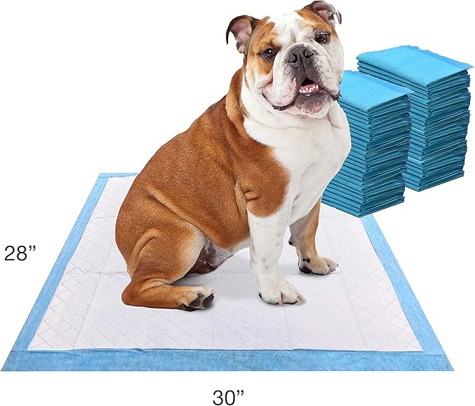 Four Paws Wee-Wee Odor Control with Febreze Freshness Pee Pads for Dogs &amp; Puppies, Leak-Proof Dog Housebreaking Potty Training Floor Protection, Spring Fresh Scent, 22" x 23", 50 Count