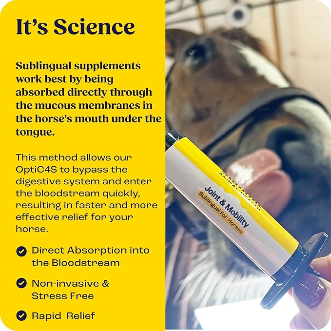 Joint &amp; Mobility Sublingual for Horses, 4pk