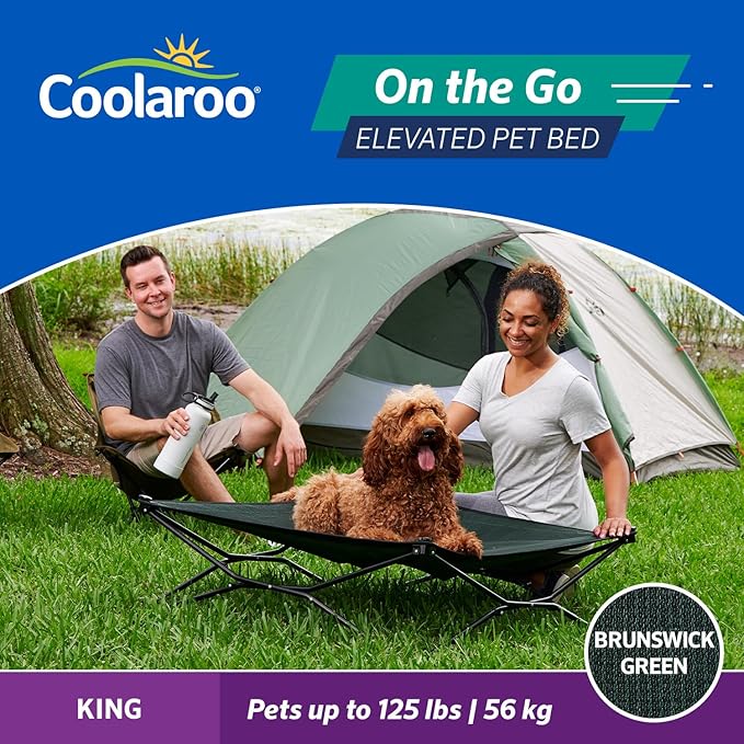 Coolaroo On-The-Go Elevated Dog Bed - Foldable Pop-Up Travel Dog Bed with Breathable, Moisture-Resistant Fabric, Carry Bag Included, Lightweight &amp; Portable, Brunswick Green, Extra Large