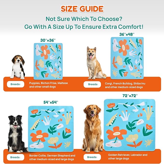 BurgeonNest Washable Pee Pads for Dogs, 1 Pack 72&