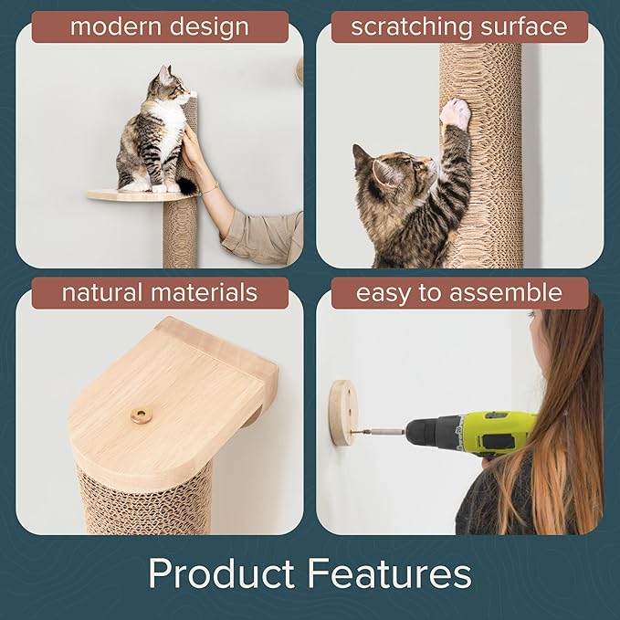 Cat Climbing Wall System – Modern Floating Shelves &amp; Perches for Cats - Sunrise Steps | Ascentials by FurHaven