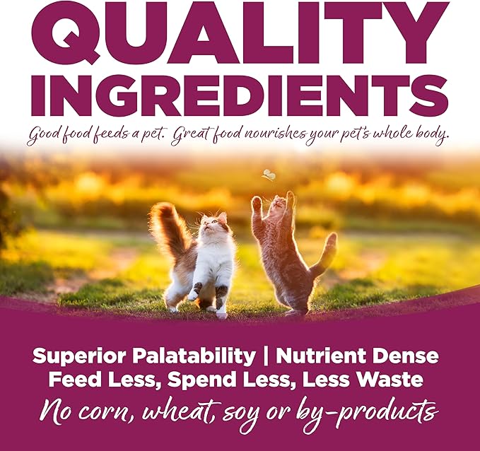 NutriSource Cat &amp; Kitten Food, Chicken &amp; Rice, 12LB