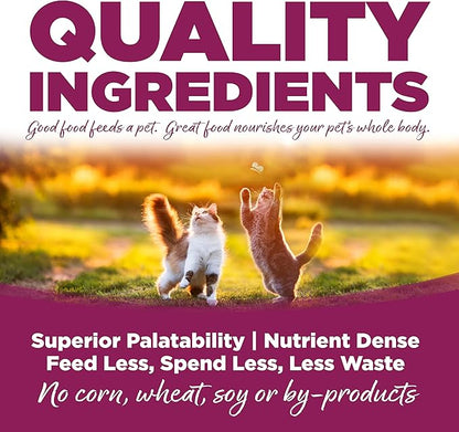 NutriSource Cat &amp; Kitten Food, Chicken &amp; Rice, 12LB