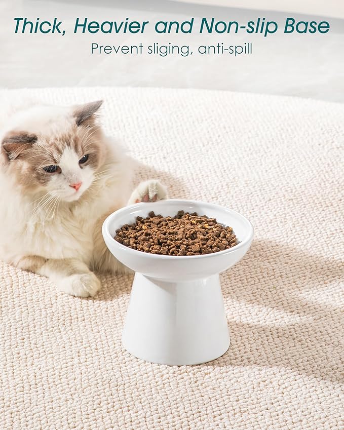 vancasso Ceramic Elevated Cat Bowls 2-Pack - 6.2" Extra Wide Raised Cat Food &amp; Water Dishes, 5.1" Optimal Height Anti-Whisker Fatigue Shallow Bowls for Cats/Kittens/Dogs, Lead &amp; Cadmium Free (White)