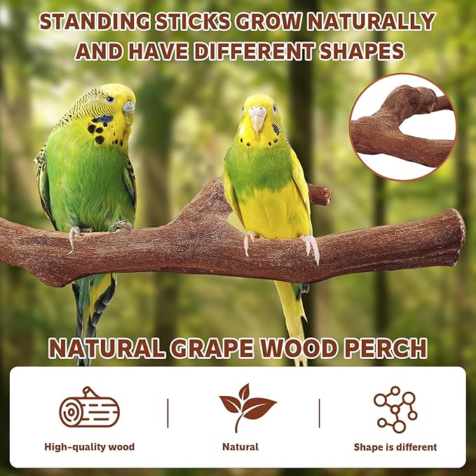 7-Piece Bird Perch Set: 3 Grapevine Paw Grinding Forks, 2 Wood Stands &amp; 2 Hammocks - Cage Accessories for Parakeets, Cockatiels, Conures, Budgies
