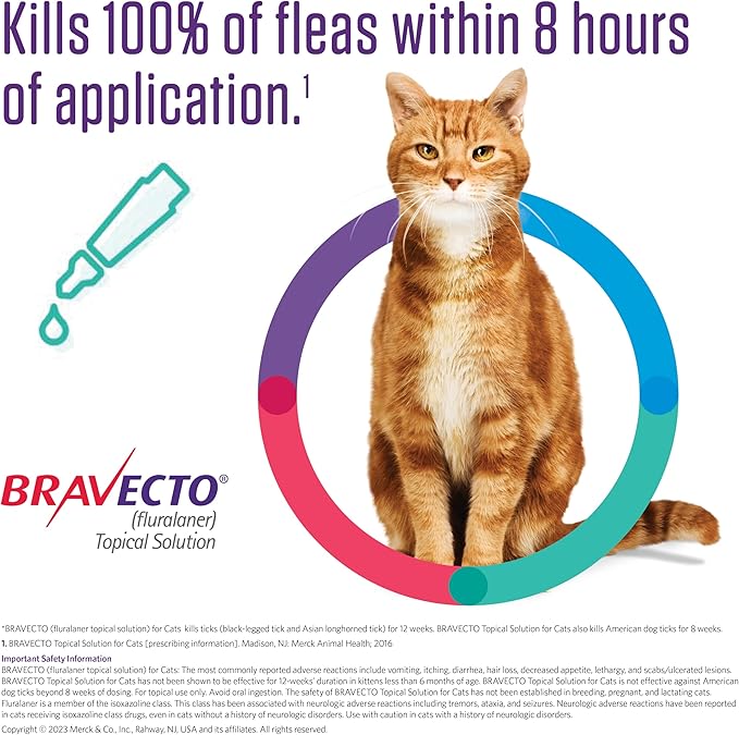 BRAVECTO Topical Solution for Cats, Flea &amp; Tick, 12 Week Supply, >6.2-13.8 lbs., Blue Box