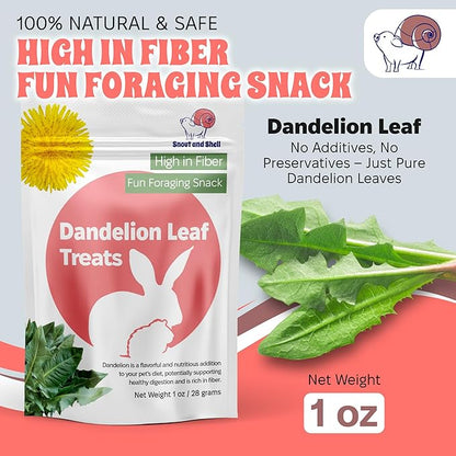 Snout and Shell Dandelion Leaf Treat for Small Pets – 1 oz (28g) | High-Fiber, Natural Foraging Snack for Rabbits, Guinea Pigs, Chinchillas, Squirrels &amp; More