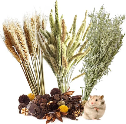 Natural Ear of Grain Flower&amp;Herb Bedding Mate Habitat Decor, Adding Fun Hamster Accessories for Hamsters Gerbils Lemming