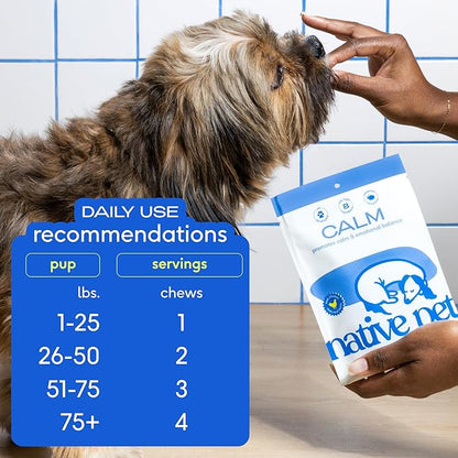 Native Pet Calming Chews for Dogs - Melatonin for Dogs Anxiety Relief - Grain Free All Natural Hemp Calming Treats &amp; L-Theanine Helps Manage Stress &amp; Separation Anxiety - Puppy Sleep Aid - 60 Chews