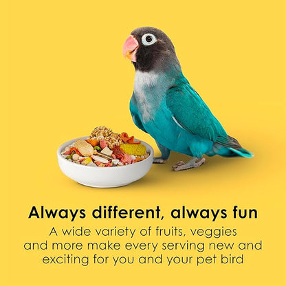 Kaytee Fiesta Big Bites Small Parrot &amp; Conure Food, Nutritious and Fun Blend, Supports Skin, Feather, Digestion, Brain and Heart Health, 4 pounds