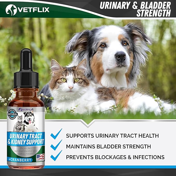 Cranberry Dog &amp; Cat UTI Treatment - Best UTI for Pets - Made in USA - Dog &amp; Cat Kidney Support - Cat Bladder Drops - Pet Immune Health Supplement - Marshmallow, Dandelion Root, Pumpkin Seed - 2 Fl Oz