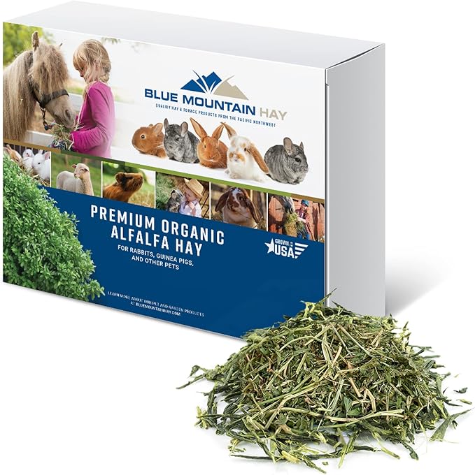 Blue Mountain Hay High-Altitude Hay - Organic Alfalfa, 10lb - High Protein, Fiber &amp; Mineral-Rich - Soft, Leafy, High Leaf Retention - Ideal for Goats, Rabbits, Guinea Pigs &amp; Other Small Animals