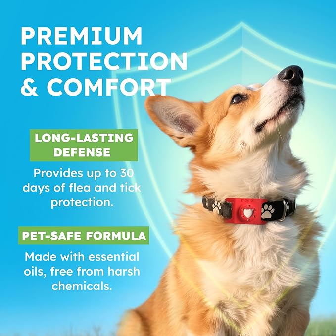 BugMD Paw Guardian Refill, Plant-Powered Flea &amp; Tick Protection Tablets, 3 Count, 30-Day Protection, Natural Essential Oil Formula