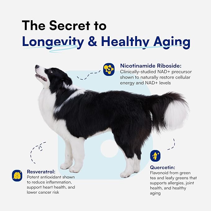 NAD+ Precursor &amp; Senior Dog Supplement - 90 Soft Chews &amp; Vitamins - NMN Alternative for Longevity, Anti-Aging &amp; Energy - Nicotinamide Riboside, Resveratrol, Quercetin, Made with Pasture-Raised Chicken