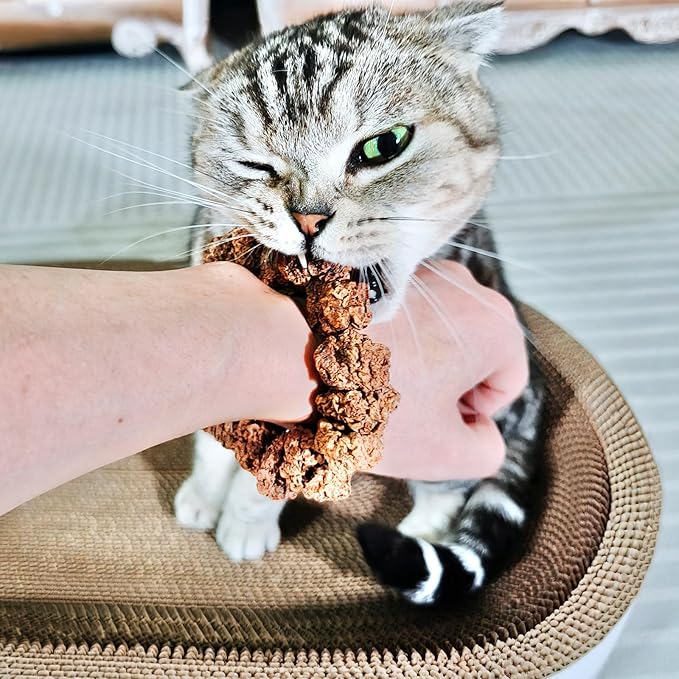 Natural Silvervine Gall Fruit Cat-Attracting Bracelet,Interactive Cat Toy for Indoor Cats,Cat Chew Toy with Gallfruit | Catnip &amp; Silvervine Alternative, Stress Relief &amp; Gift