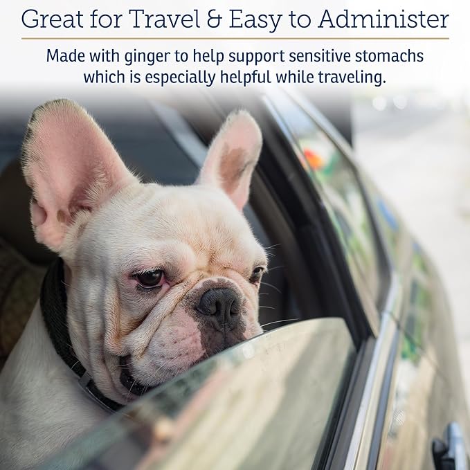 Rx Vitamins NutriCalm - Calming Care for Dogs with Valerian Root, Tryptophan, &amp; Ashwagandha - Aids in Separation Anxiety Relief for Dogs and Stress Relief - Road Trip Essentials &amp; Relaxant - 50ct