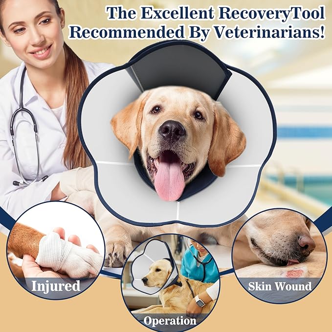 Hard &amp; Heavy Plastic Dog Cone Collar Alternative for Medium Dogs (French Bulldog Dachshund) After Surgery, Adjustable Recovery Cone Anti-Lick, Elizabethan Protective Collar Cone of Shame for Healing