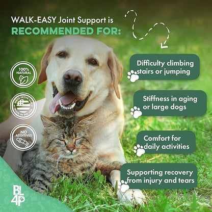 Walk-Easy Dog Hip &amp; Joint Supplement, Effective Dog Pain Relief and Anti-Inflammatory Supplement for Mobility, Canine Joint Pain Relief, ACL Tears, Limping, Knee and Back Aches, Easy to Give 2 Pack