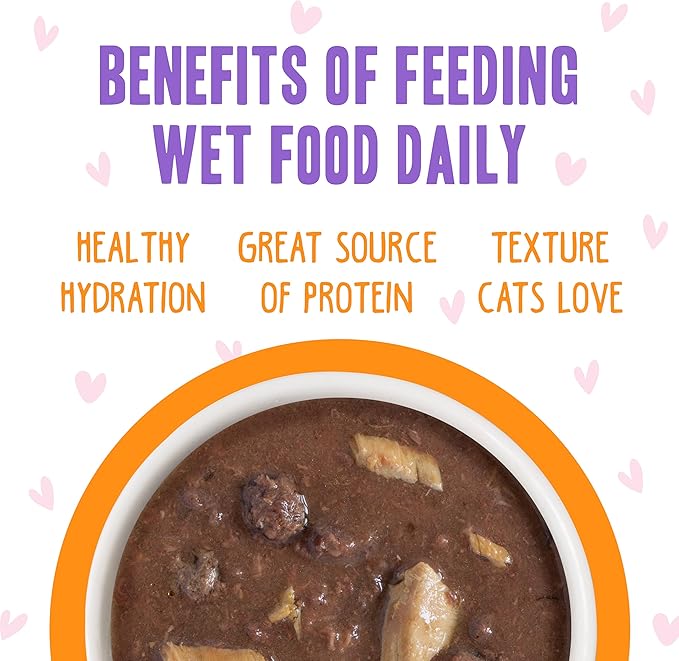 Weruva B.F.F. OMG - Best Feline Friend Oh My Gravy!, Tuna &amp; Salmon Start Me Up with Tuna &amp; Salmon, 2.8oz Can (Pack of 12)