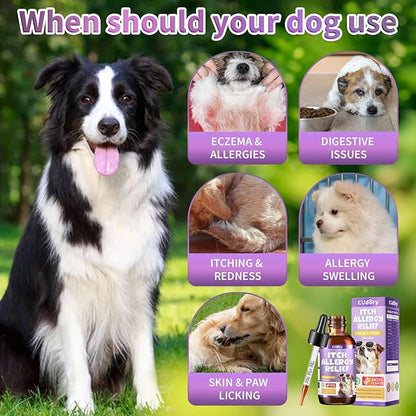 Dog Allergy Relief Drops, Skin &amp; Coat Support with Fish Oil and Omega-3, Natural Immune Supplement for Dogs – Seasonal Allergy &amp; Itchy Skin Care – Soothes Sensitive Skin, Itch Relief for Dog, 2 Fl oz