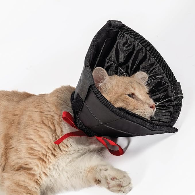 Cat Cone Collar - Soft Adjustable Cat Elizabethan Healing Collar – Lightweight Wound‑Protection Neck Cone for Licking/Biting Prevention, Fits Neck 6.5″–10.5″, Ideal Post‑Surgery &amp; Injury Care