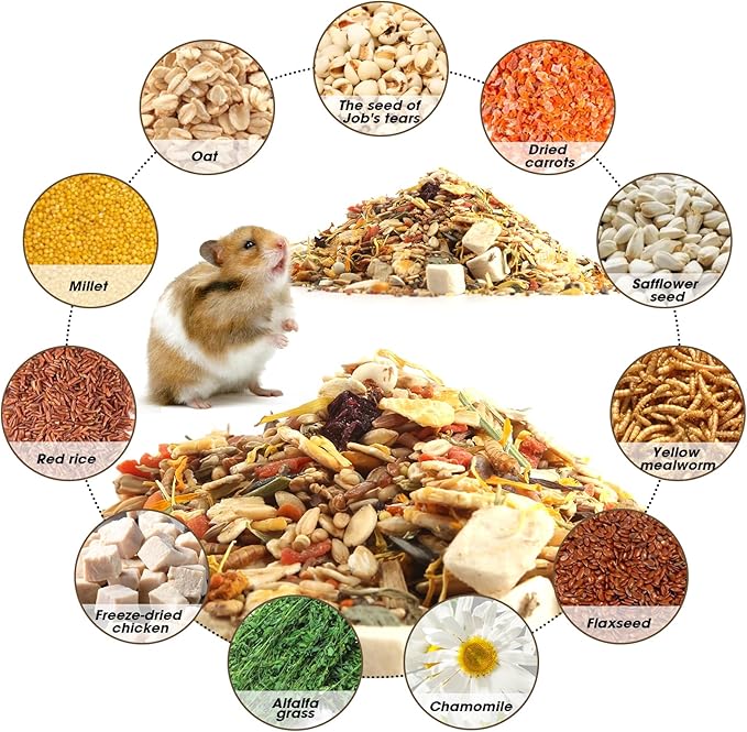 Gourmet Hamster &amp; Gerbil Food, Dry Food for Hamsters-Supports Healthy Digestion and Healthy Teeth Unique Edible Treats for Guinea Pigs, Hamsters, Gerbils