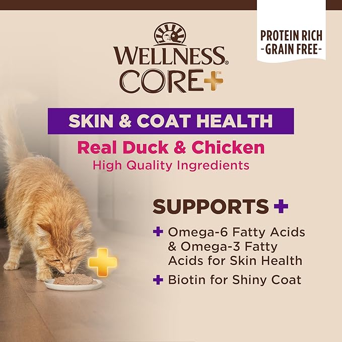 Wellness CORE+ Skin &amp; Coat Pate Adult Wet Cat Food, Natural, Protein-Rich, Grain Free, 2.8 Ounce, 12 Pack (Duck &amp; Chicken)