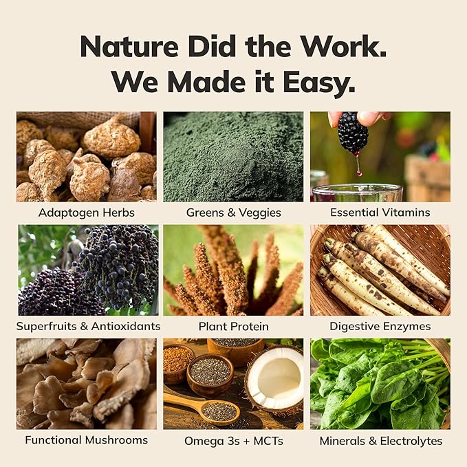 Ka’Chava All-In-One Nutrition Shake Blend, 5 Flavor Sample Pack, 5 Servings, 85+ Superfoods &amp; Nutrients, Meal Replacement, Greens Plant-Based Superfood Powder Protein Drink, Digestive Enzymes &amp; Probiotics, Vegan Dairy Gluten Free