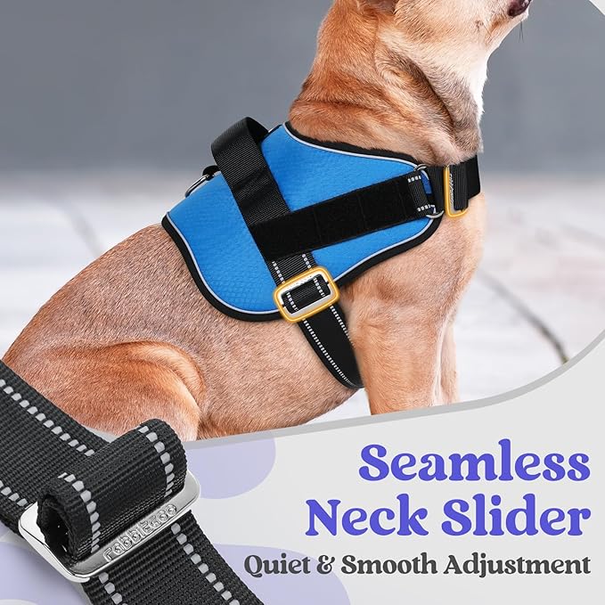 rabbitgoo Dog Harness for Small, Easy On Pet Vest with One Buckle, No Pull Adjustable Service Harness with D-Ring &amp; Handle, Reflective for Safety Walking, Training, Blue, S