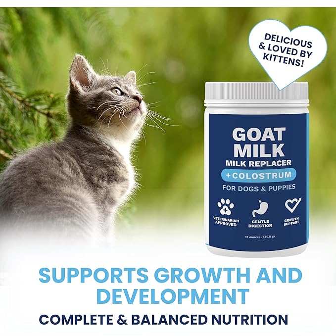 Under the Weather Kitten Milk Replacement Powder + Colostrum for Cats &amp; Kittens | Goat Milk Replacer Powder | Goat-Based Formula with Colostrum for Immune &amp; Digestive Support - 12 oz