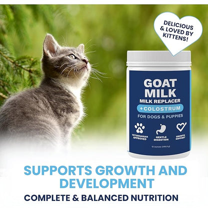 Under the Weather Kitten Milk Replacement Powder + Colostrum for Cats &amp; Kittens | Goat Milk Replacer Powder | Goat-Based Formula with Colostrum for Immune &amp; Digestive Support - 12 oz
