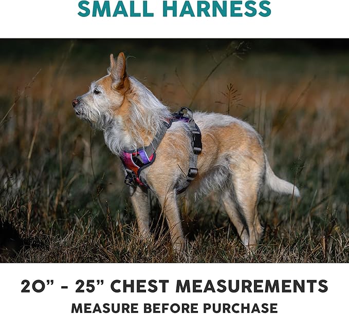 Embark Adventure Dog Harness, Reflective Trim No Pull Dog Harnesses for Small Sized Dogs - Military Grade Nylon, Front Clip with Gel Lined Handle. Soft &amp; Padded Puppy
