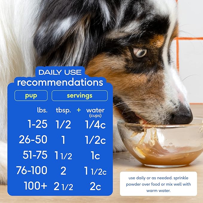Native Pet, Dogs &amp; Cat Broth Bundle | Chicken &amp; Beef Flavored | Dog Food Topper for Picky Eater | Dog Gravy &amp; Dog Bone Broth Powder