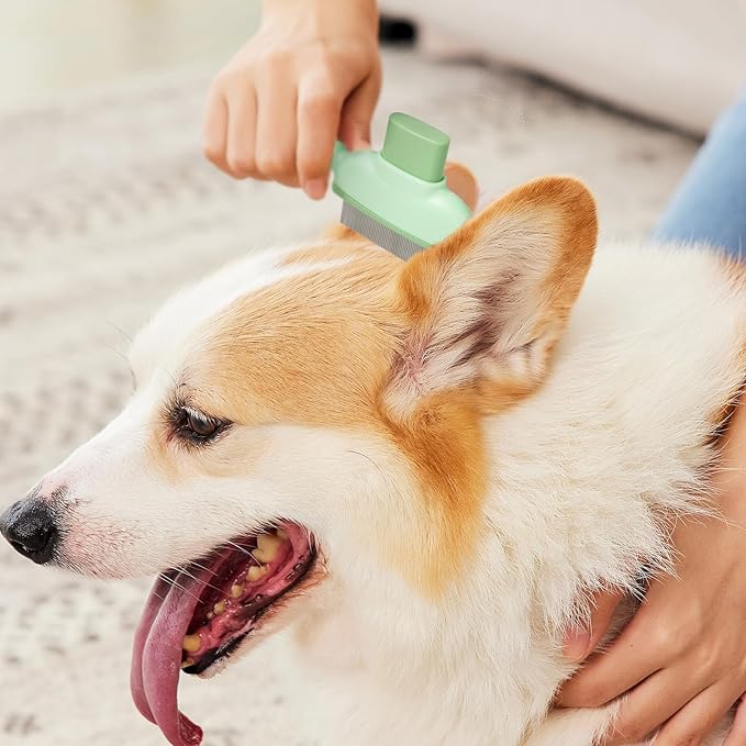 Pet Comb for Cats &amp; Dogs, One-Touch Hair Release Button, Dense-Tooth &amp; Mixed-Length Teeth 2-Piece Set, for Long &amp; Short Hair, Gentle Pain-Free Design (Green)