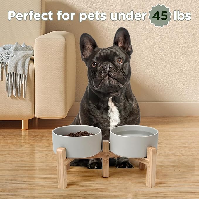 SPUNKYJUNKY Elevated Dog Bowls Ceramic, 6.1&