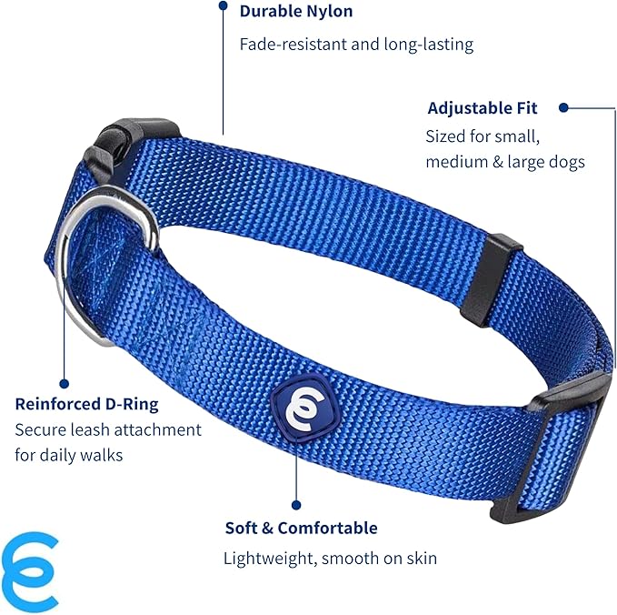 Blueberry Pet Essentials Small Dog Collar in Royal Blue | Adjustable &amp; Eco-Friendly Durable Nylon Strap | Classic Collar for Small Dogs, Boy &amp; Girl Pets