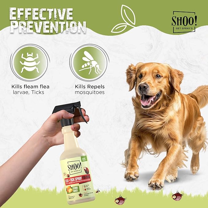 Shoo! Flea &amp; Tick Spray for Dogs and Home | Plant Based, Natural Oils, Chemical Free Formula | Kills, Repels, Prevents | 16 oz (Citrus Burst)