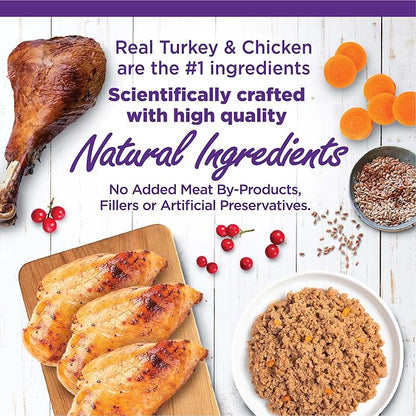 Wellness Complete Health Chicken &amp; Turkey Pate Favorites Variety Pack, 5.5 Ounces Can (Pack of 12)