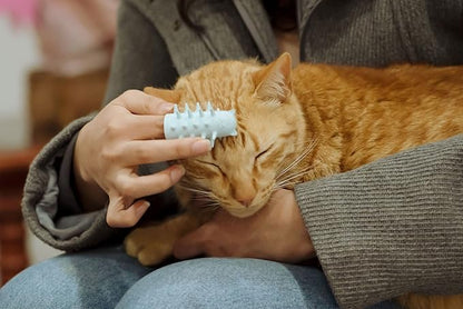 Furr&amp;Purr Cat Brush, Scratcher, and Massager - Indoor Cat Calming Care with Face Scratcher, Finger Brush (3-Pack, Made in USA)