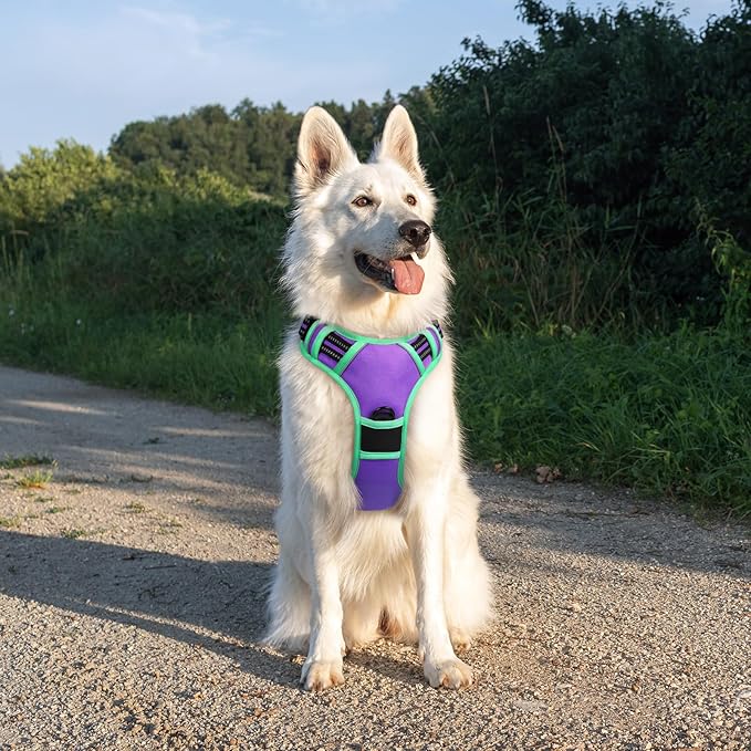 Eagloo Dog Harness for Large Dogs, No Pull Service Vest with Reflective Strips and Control Handle, Adjustable and Comfortable for Walking, No Choke Pet Harness with 2 Metal Rings, Purple &amp; Green, XL
